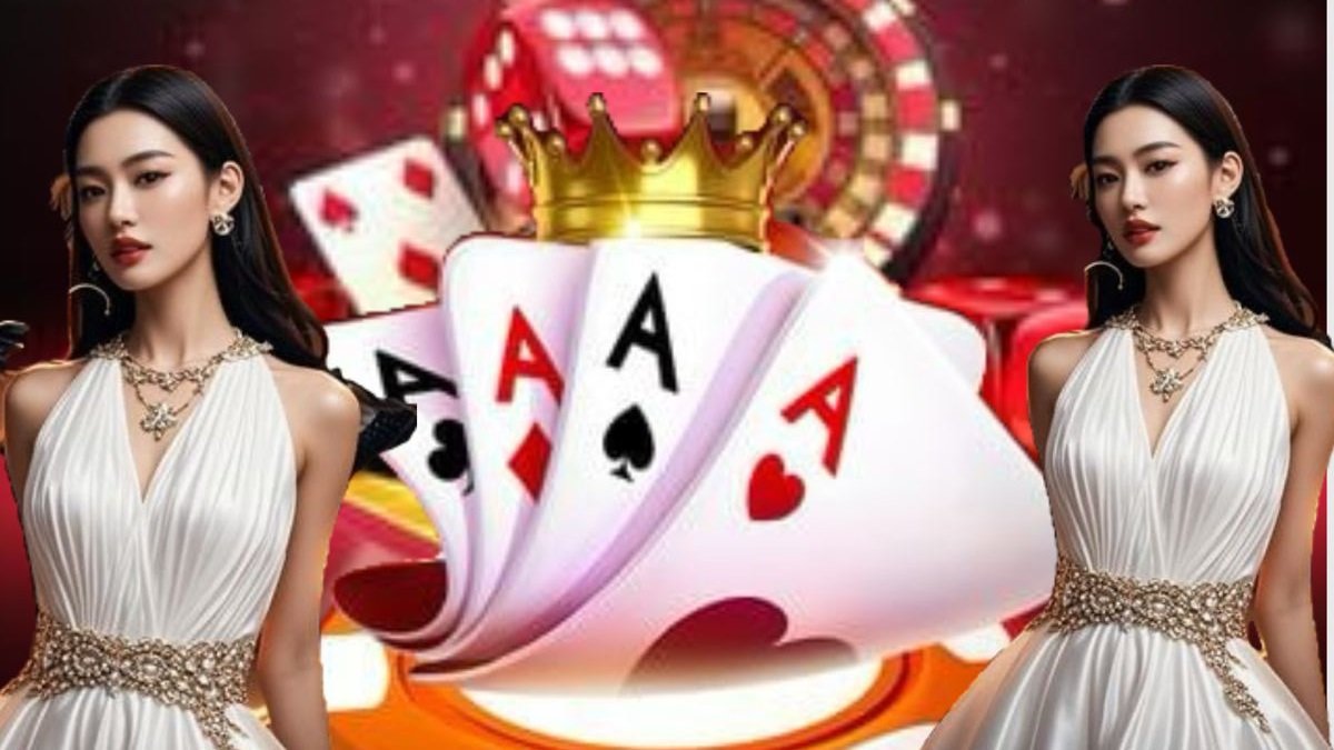 5577bet