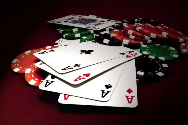 5577bet